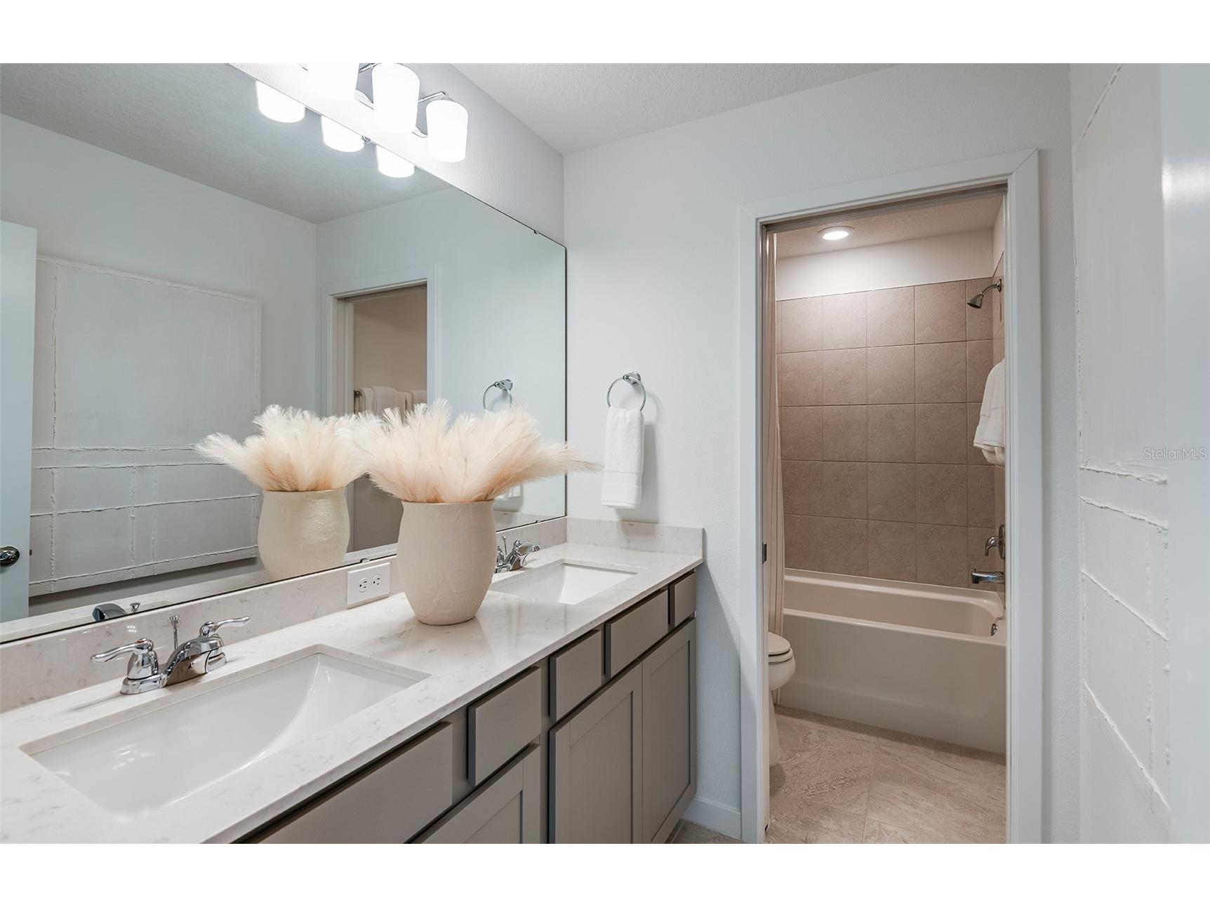 33452 Binding Ties Lane Wesley Chapel FL 33545 TB8489492 image11