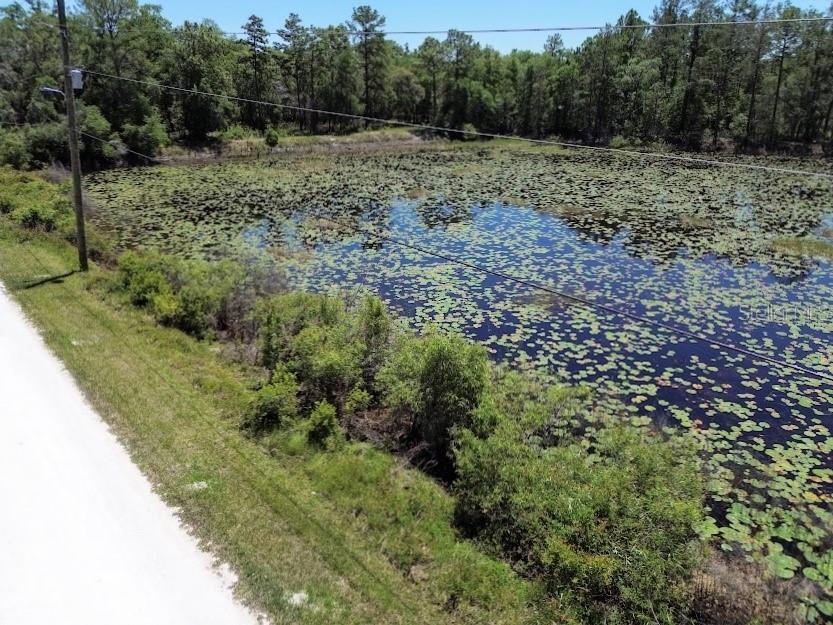 33455 Berryhill Drive Webster FL 33597 OM711010 image5