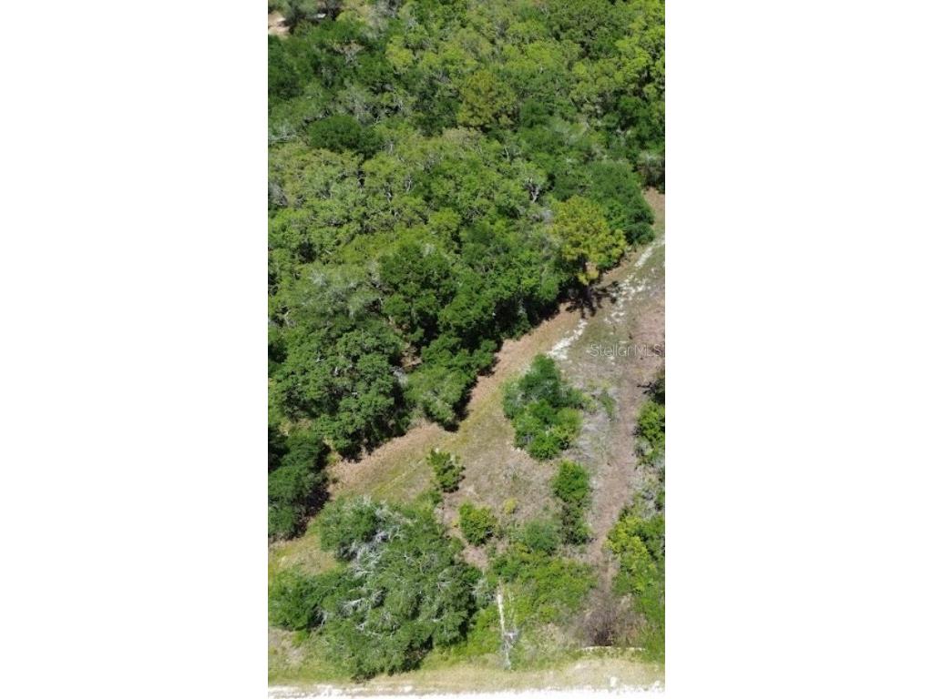 33455 Berryhill Drive Webster FL 33597 OM711010 image6