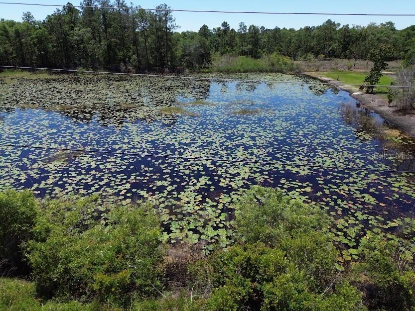 33455 Berryhill Drive Webster FL 33597 OM711010 image9