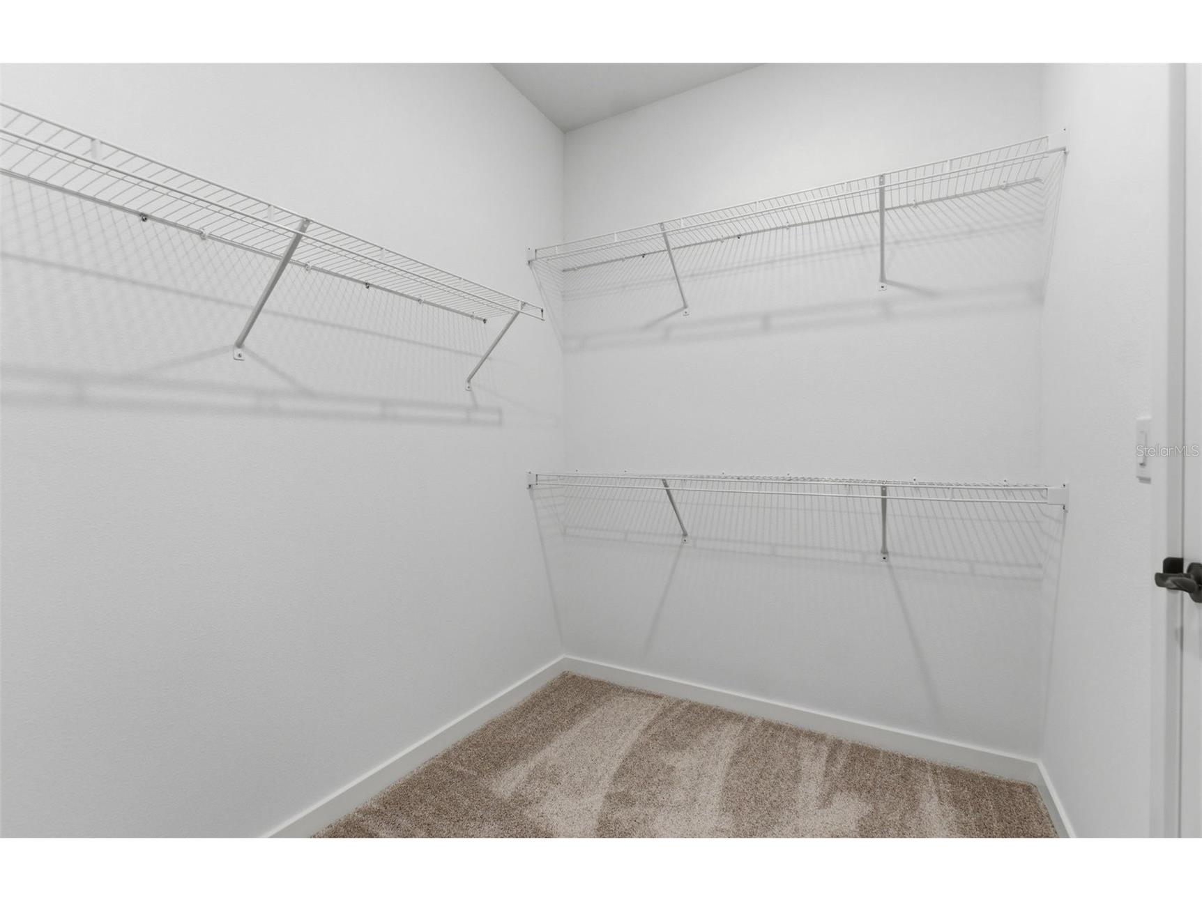 33456 Herds Hallow Way Wesley Chapel FL 33545 TB8469585 image10