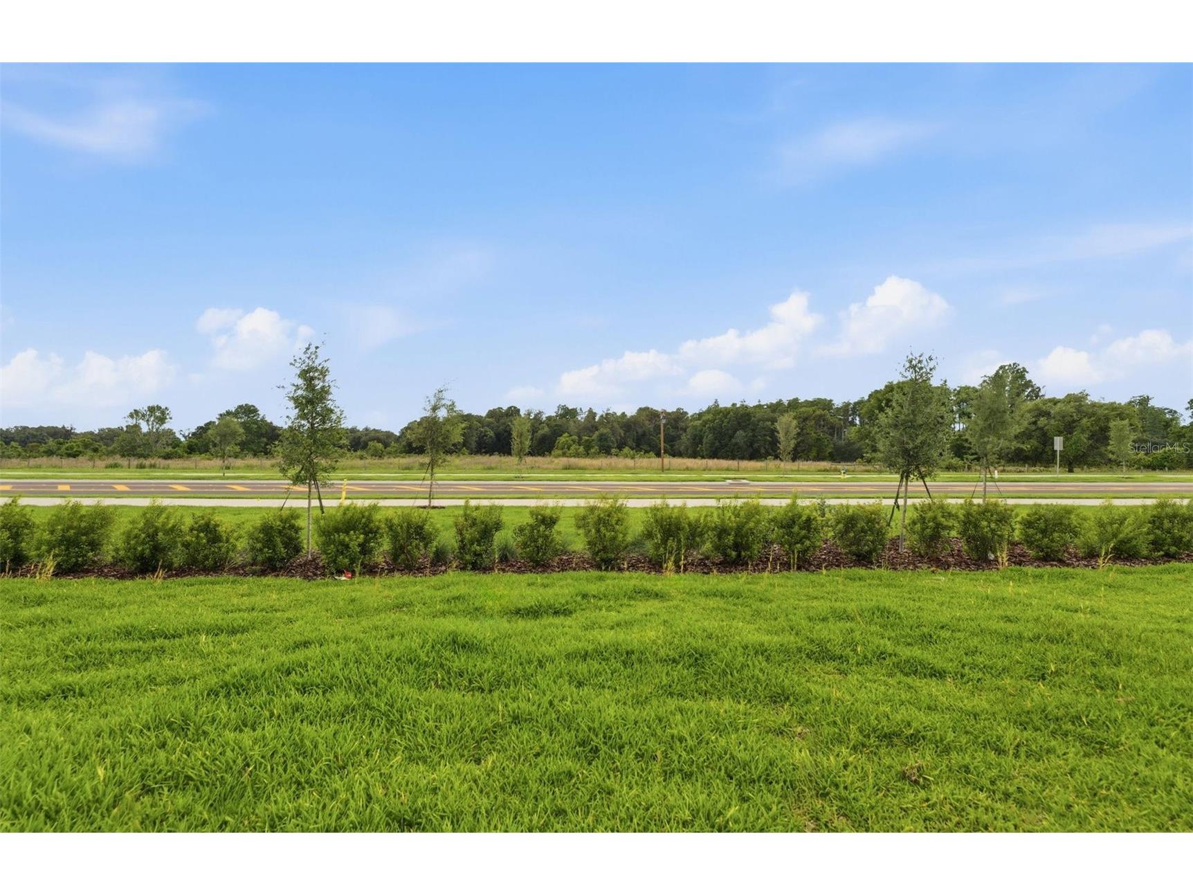 33456 Herds Hallow Way Wesley Chapel FL 33545 TB8469585 image17