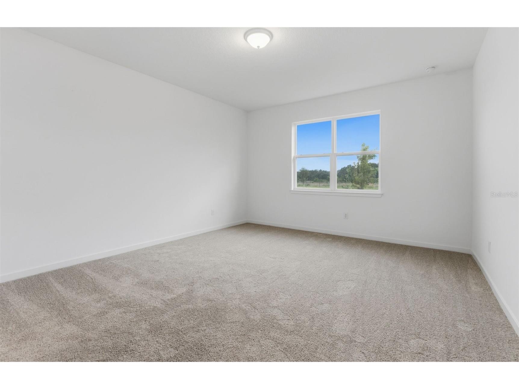 33456 Herds Hallow Way Wesley Chapel FL 33545 TB8469585 image7