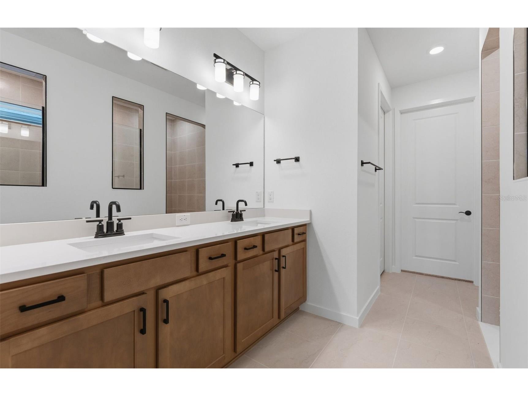 33456 Herds Hallow Way Wesley Chapel FL 33545 TB8469585 image8