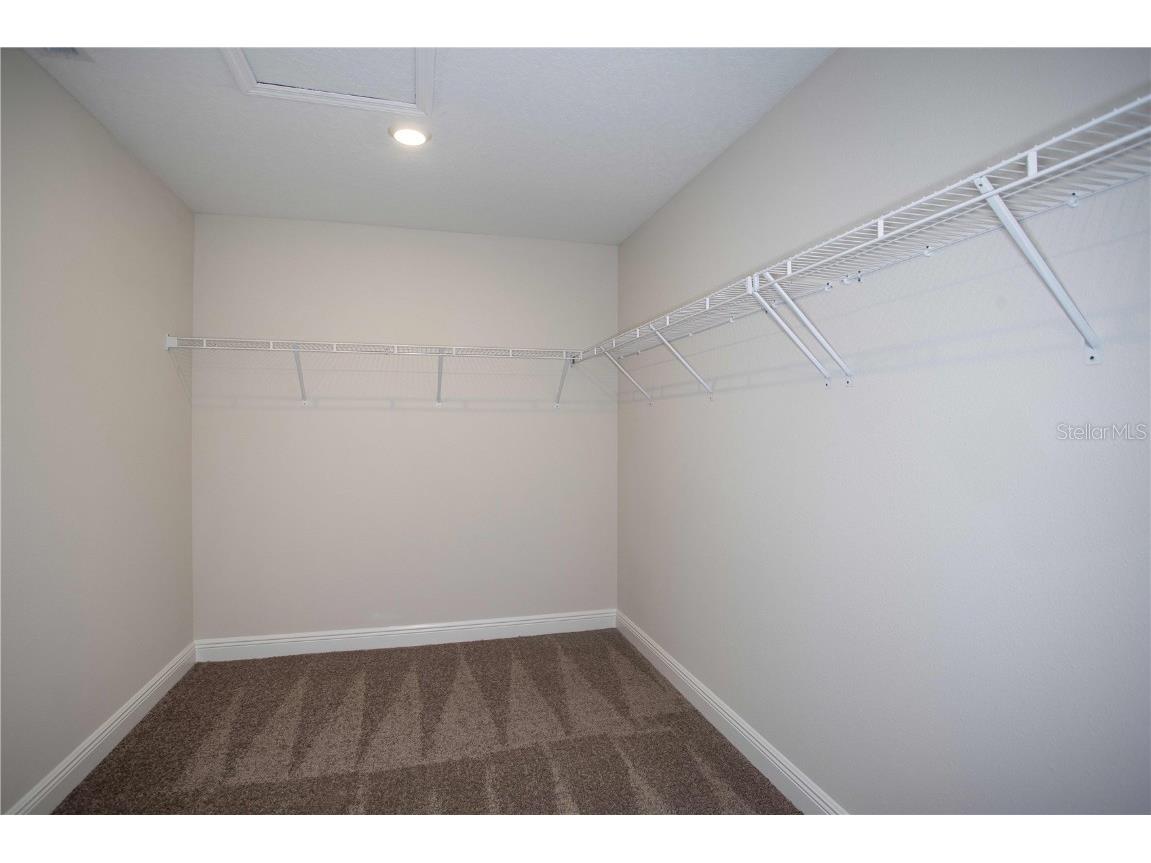 33457 Twilight Sea Place Wesley Chapel FL 33545 TB8446803 image15