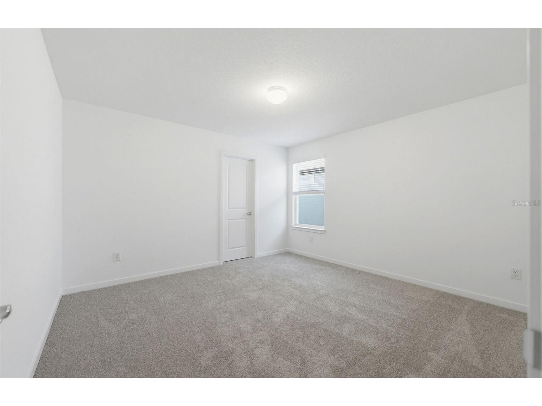 33458 Barnebrook Drive Wesley Chapel FL 33545 TB8505015 image15