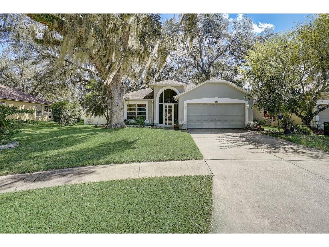 3346 Castle Rock Cir Land O Lakes FL 34639 U8217113 image1
