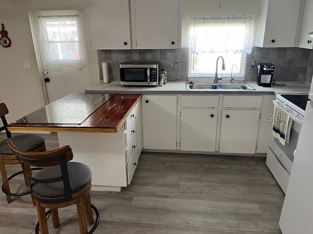 3346 Chatford Drive Holiday FL 34690 TB8419136 image7