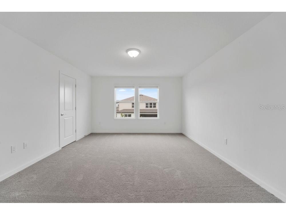 33460 Binding Ties Lane Wesley Chapel FL 33545 O6412221 image13