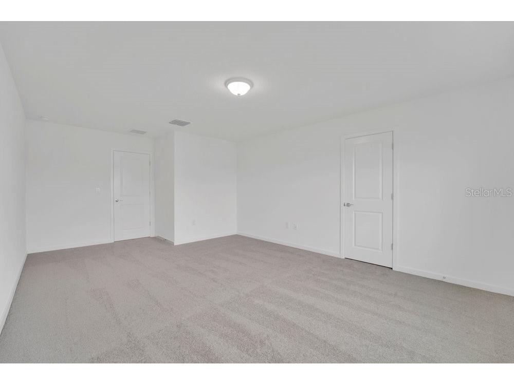 33460 Binding Ties Lane Wesley Chapel FL 33545 O6412221 image14