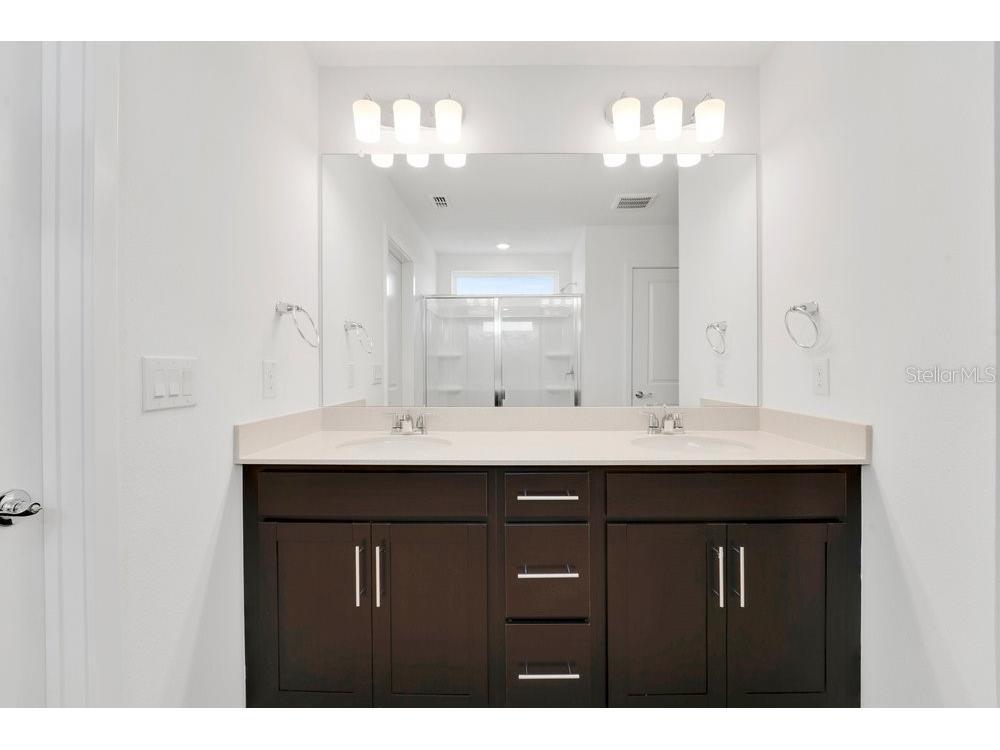 33460 Binding Ties Lane Wesley Chapel FL 33545 O6412221 image15