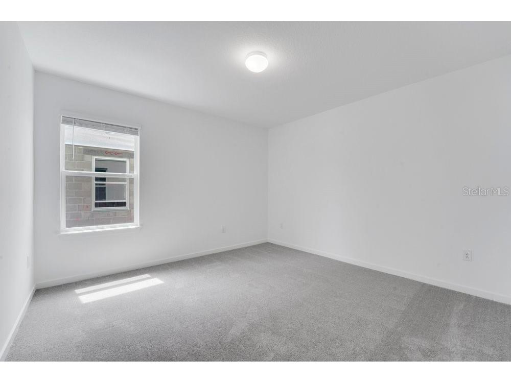 33460 Binding Ties Lane Wesley Chapel FL 33545 O6412221 image19