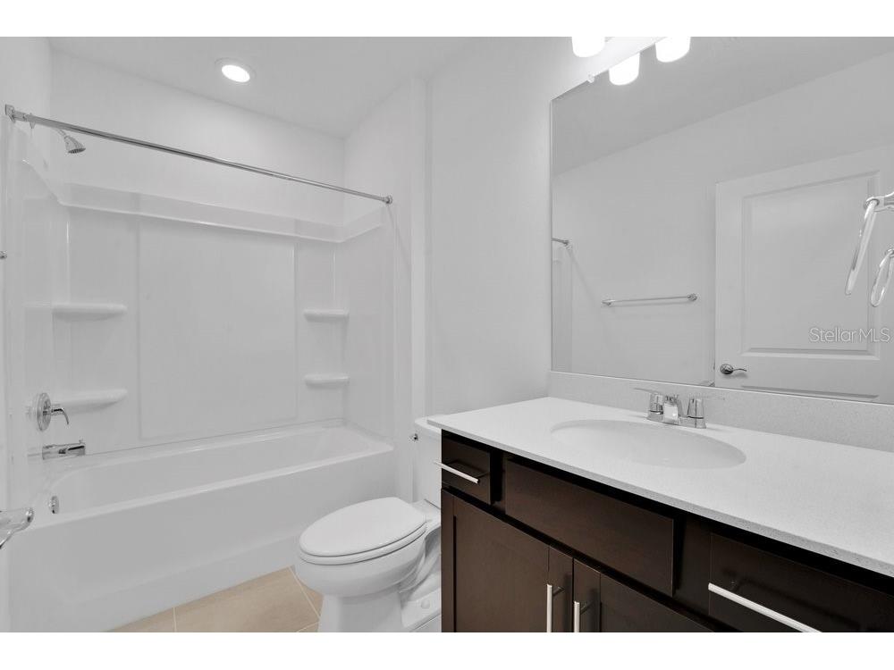 33460 Binding Ties Lane Wesley Chapel FL 33545 O6412221 image20
