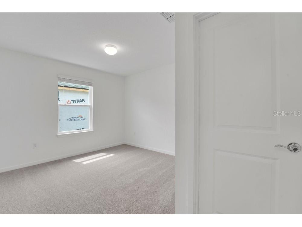 33460 Binding Ties Lane Wesley Chapel FL 33545 O6412221 image23