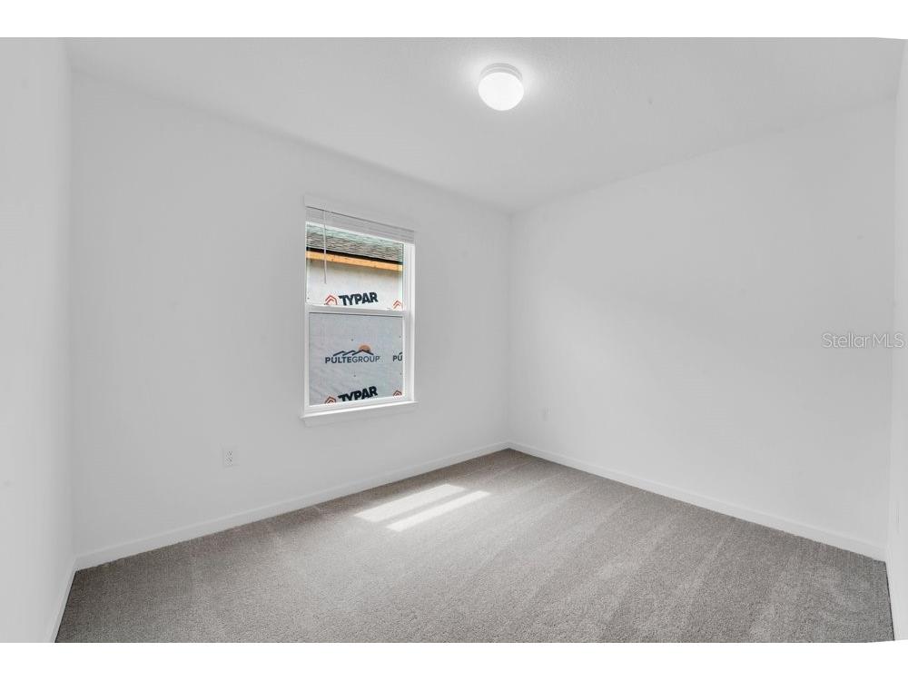 33460 Binding Ties Lane Wesley Chapel FL 33545 O6412221 image24