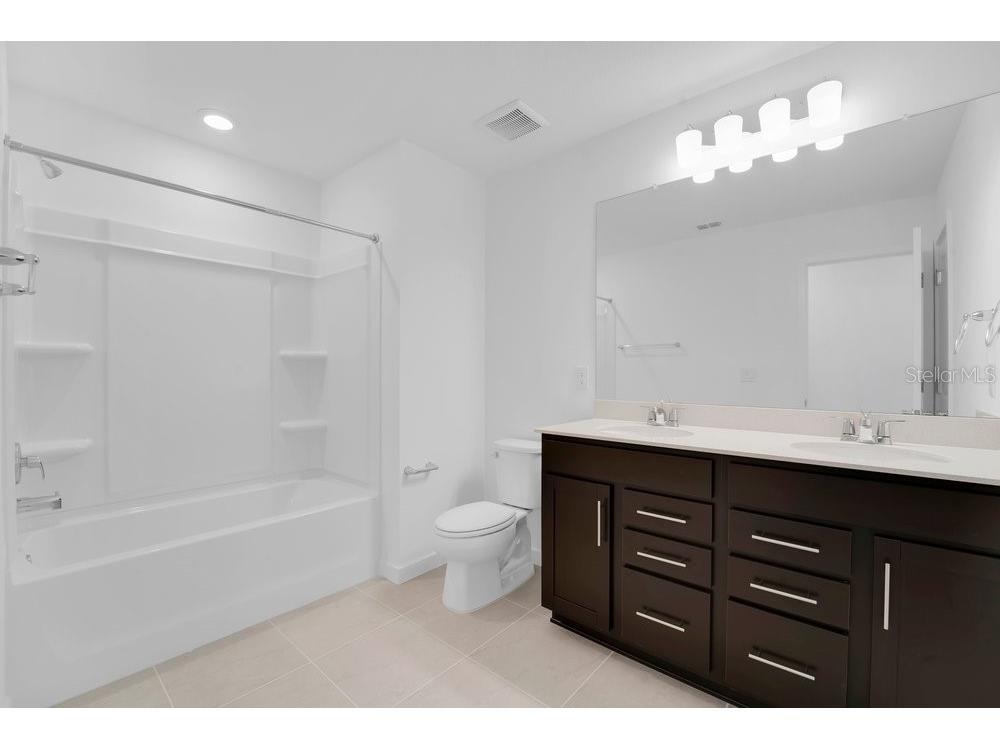 33460 Binding Ties Lane Wesley Chapel FL 33545 O6412221 image25