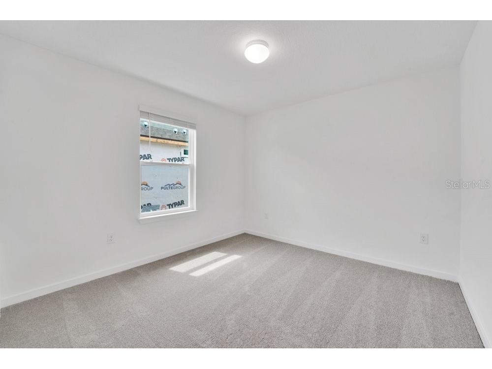 33460 Binding Ties Lane Wesley Chapel FL 33545 O6412221 image26