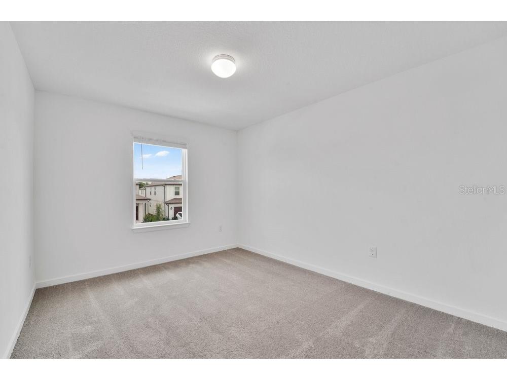 33460 Binding Ties Lane Wesley Chapel FL 33545 O6412221 image27