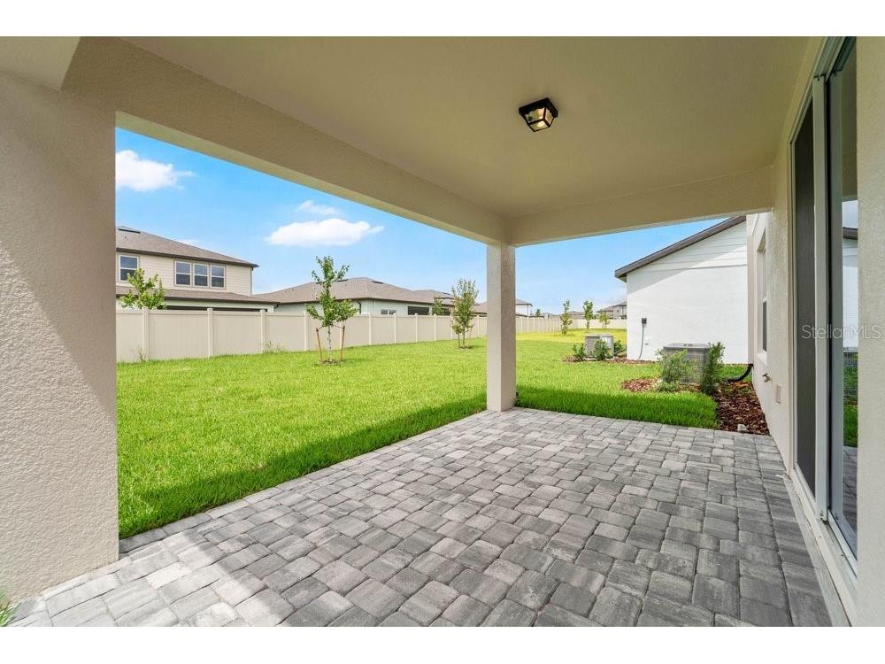 33460 Binding Ties Lane Wesley Chapel FL 33545 O6412221 image30