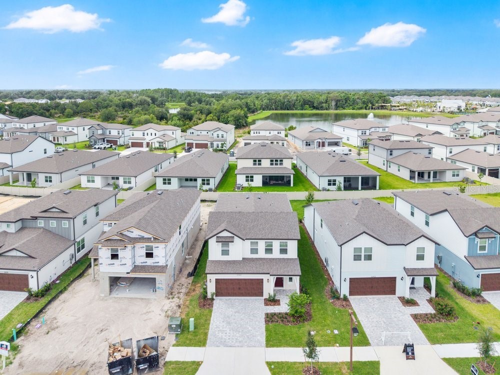 33460 Binding Ties Lane Wesley Chapel FL 33545 O6412221 image37