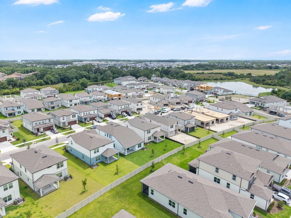 33460 Binding Ties Lane Wesley Chapel FL 33545 O6412221 image39
