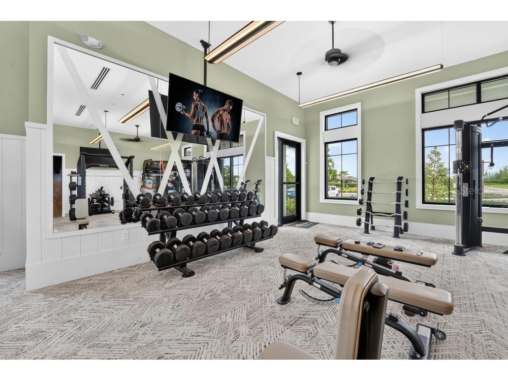 33460 Binding Ties Lane Wesley Chapel FL 33545 O6412221 image48