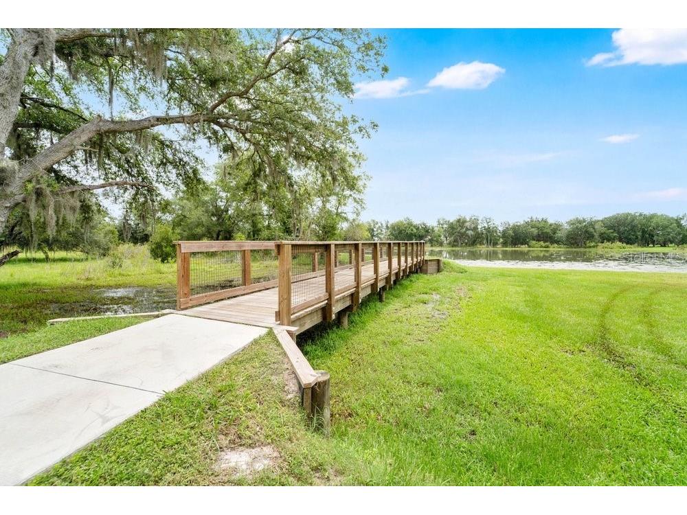 33460 Binding Ties Lane Wesley Chapel FL 33545 O6412221 image52