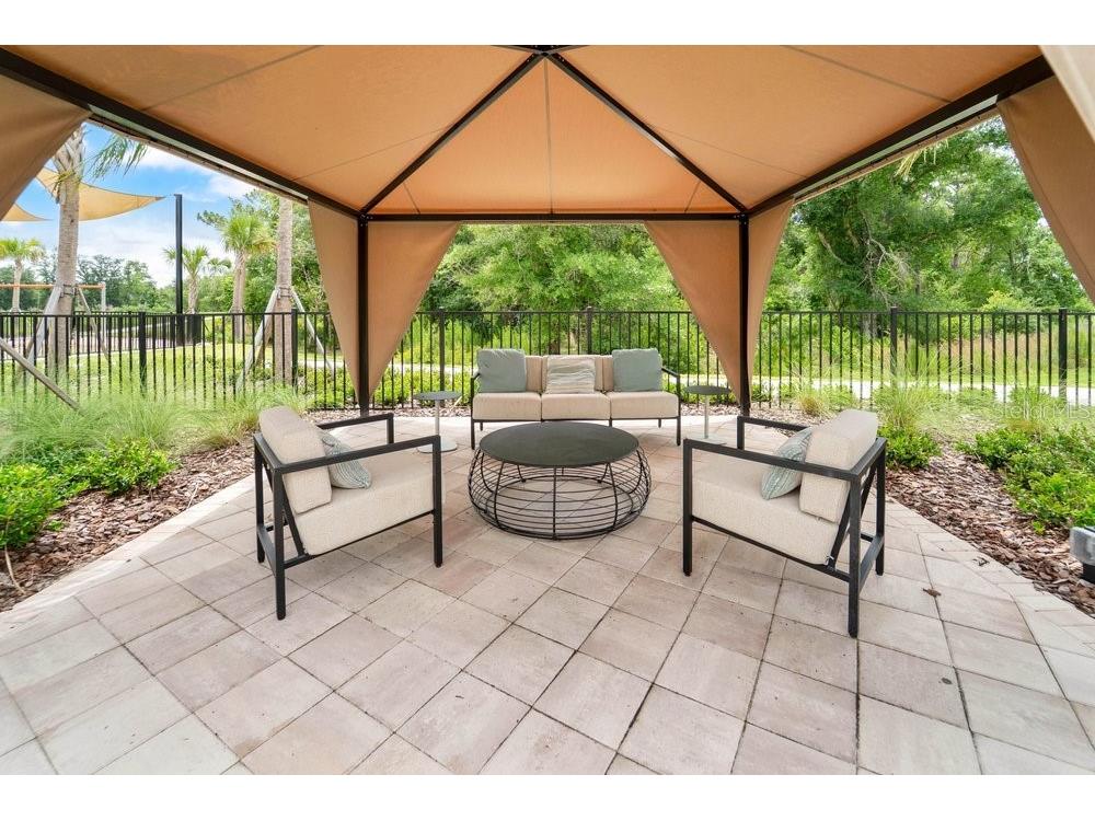 33460 Binding Ties Lane Wesley Chapel FL 33545 O6412221 image55