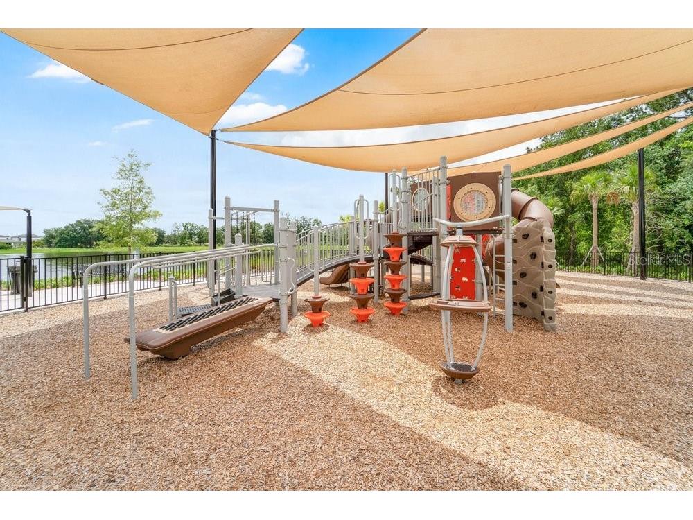33460 Binding Ties Lane Wesley Chapel FL 33545 O6412221 image56