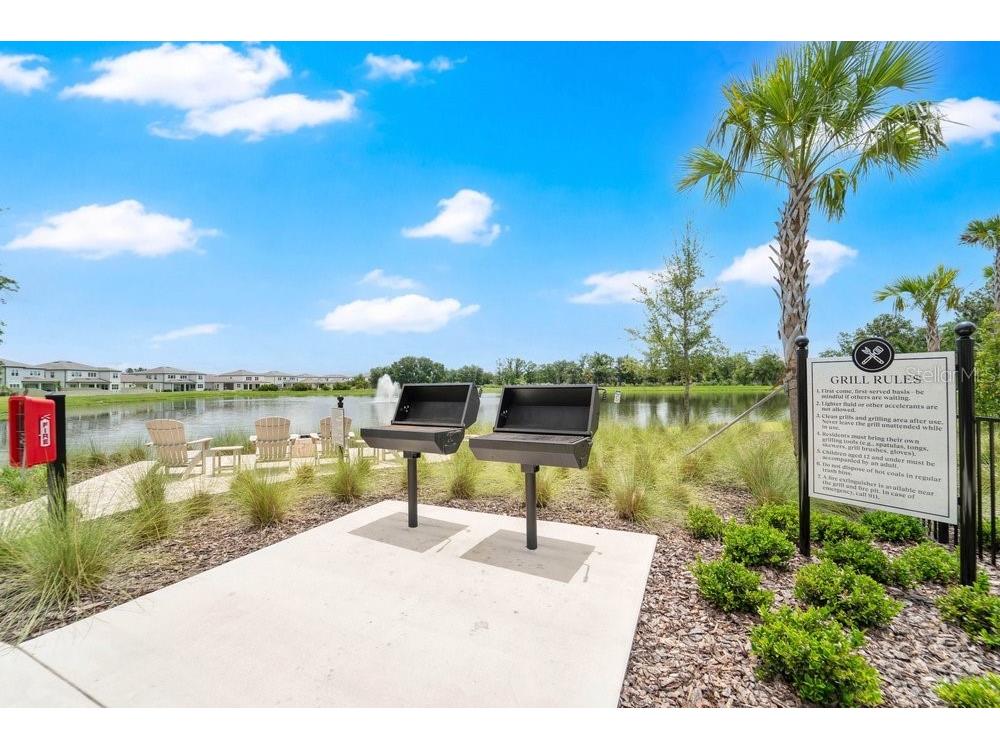 33460 Binding Ties Lane Wesley Chapel FL 33545 O6412221 image59