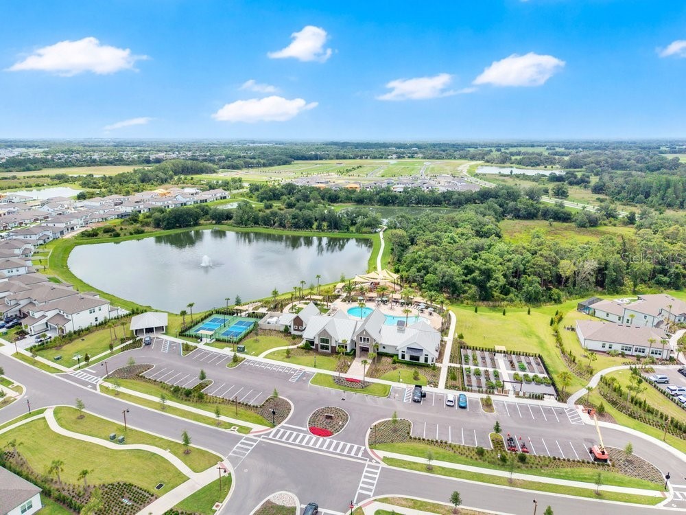 33460 Binding Ties Lane Wesley Chapel FL 33545 O6412221 image61