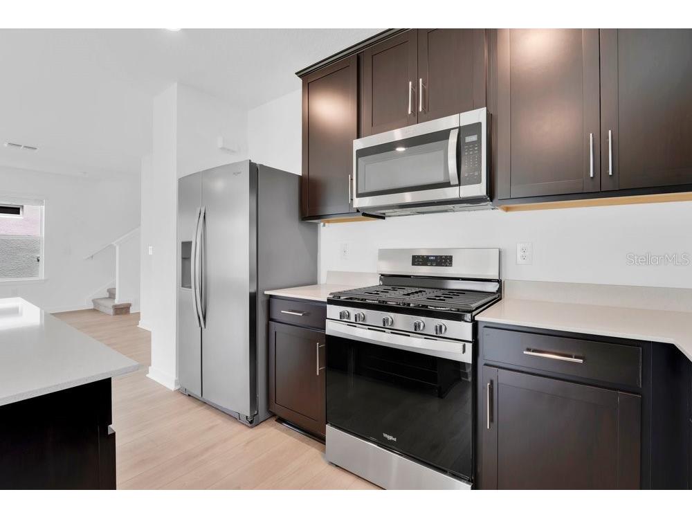 33460 Binding Ties Lane Wesley Chapel FL 33545 O6412221 image7