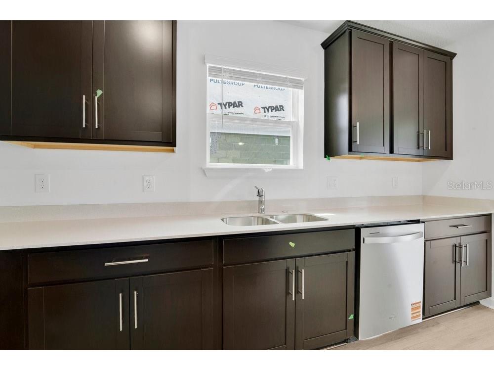 33460 Binding Ties Lane Wesley Chapel FL 33545 O6412221 image8
