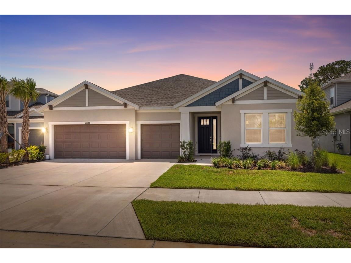 33466 Landsman Loop Wesley Chapel FL 33543 W7876487 image1