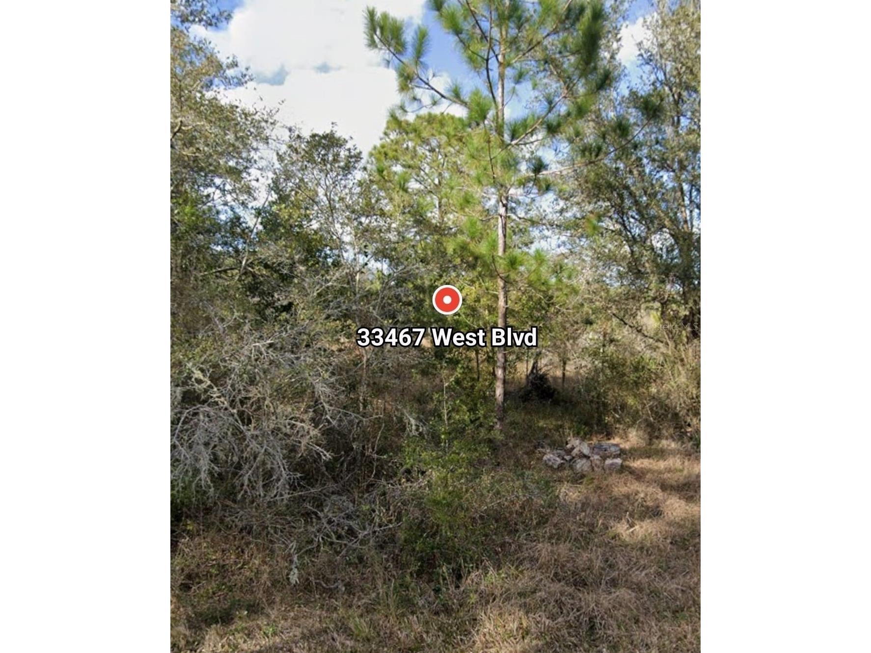 33467 West Boulevard Webster FL 33597 W7881966 image2