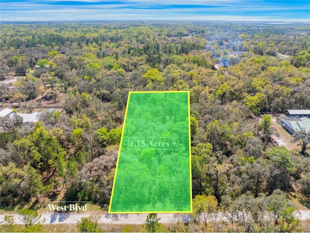 33468 West Boulevard Webster FL 33597 TB8361274 image1