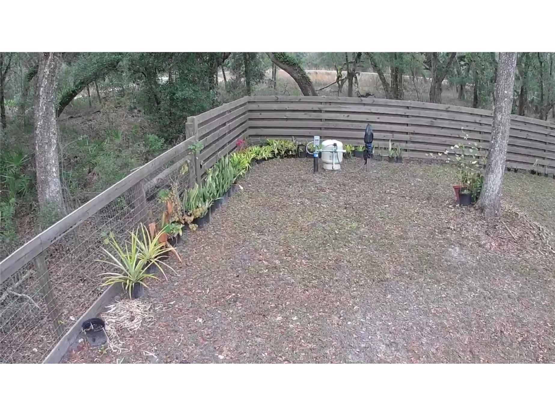 33469 August Avenue Webster FL 33597 L4958491 image5