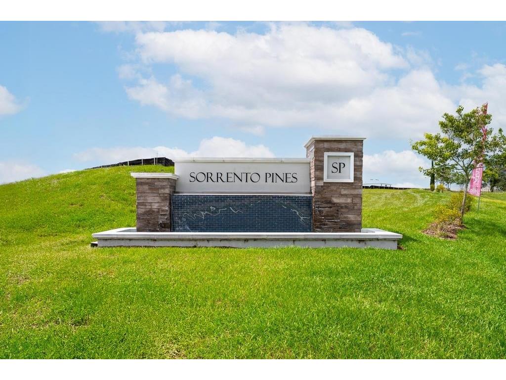 33470 Always Dreaming Court Sorrento FL 32776 O6404169 image63