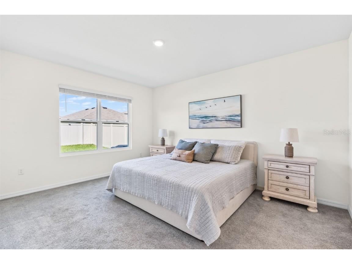 33471 Hamilton Hill Ln Wesley Chapel FL 33545 TB8420108 image15