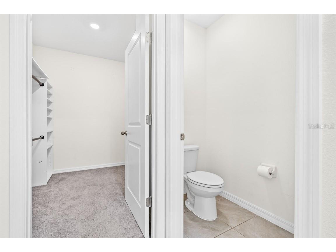 33471 Hamilton Hill Ln Wesley Chapel FL 33545 TB8420108 image18