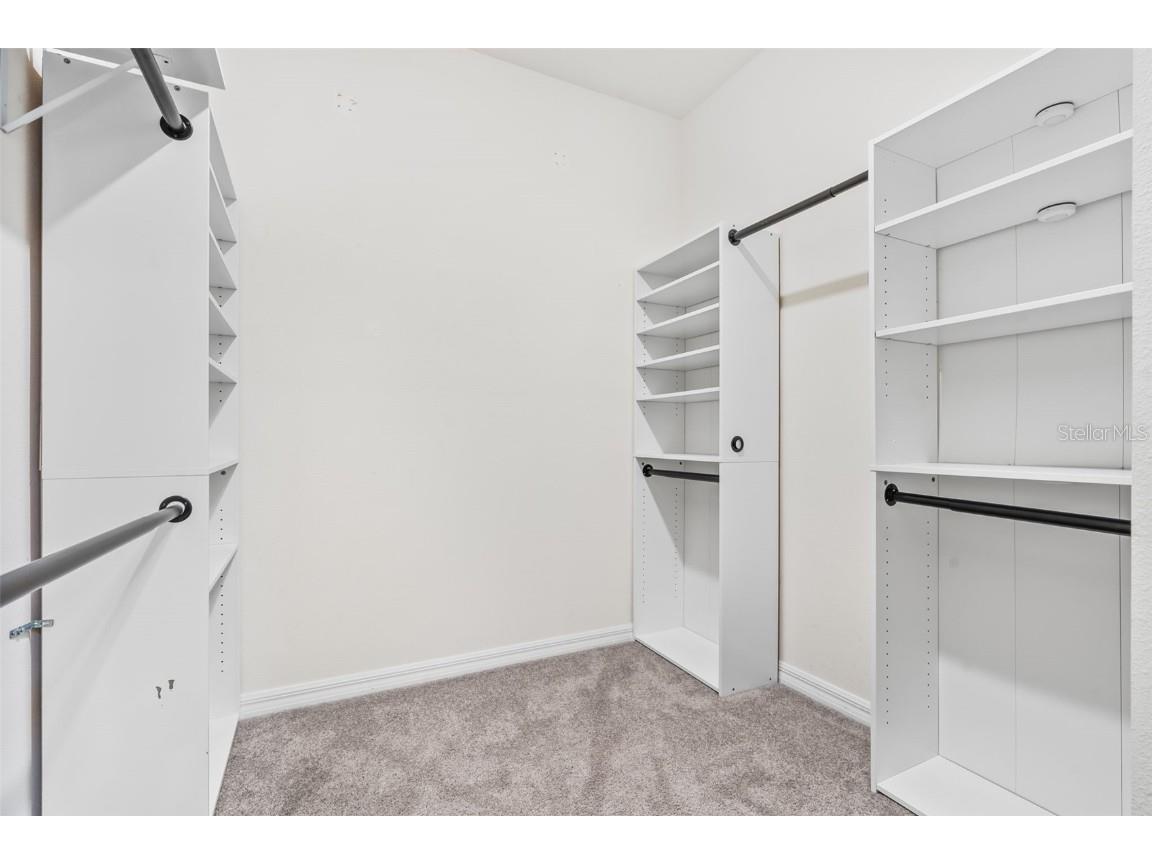 33471 Hamilton Hill Ln Wesley Chapel FL 33545 TB8420108 image19