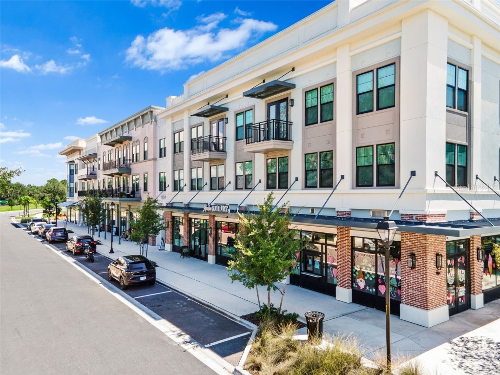 33471 Hamilton Hill Ln Wesley Chapel FL 33545 TB8420108 image39