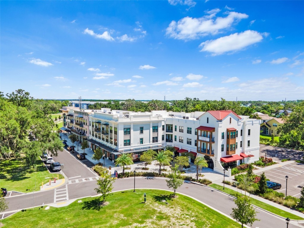 33471 Hamilton Hill Ln Wesley Chapel FL 33545 TB8420108 image40