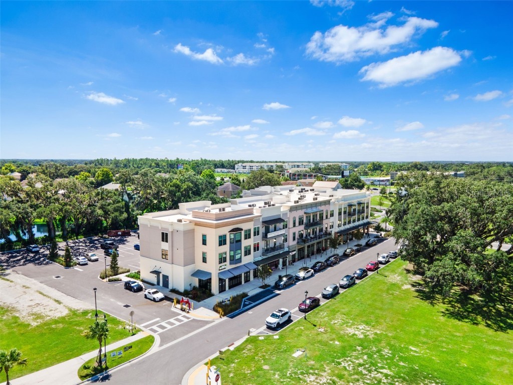 33471 Hamilton Hill Ln Wesley Chapel FL 33545 TB8420108 image41