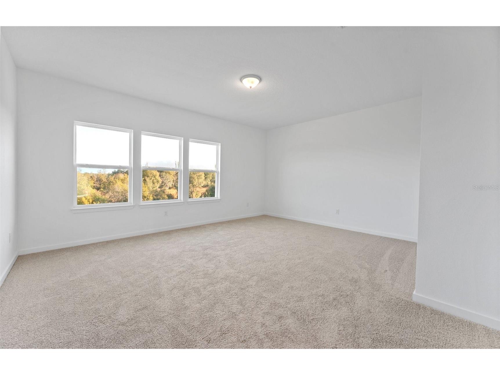 33479 Barnebrook Drive Wesley Chapel FL 33545 TB8421840 image13