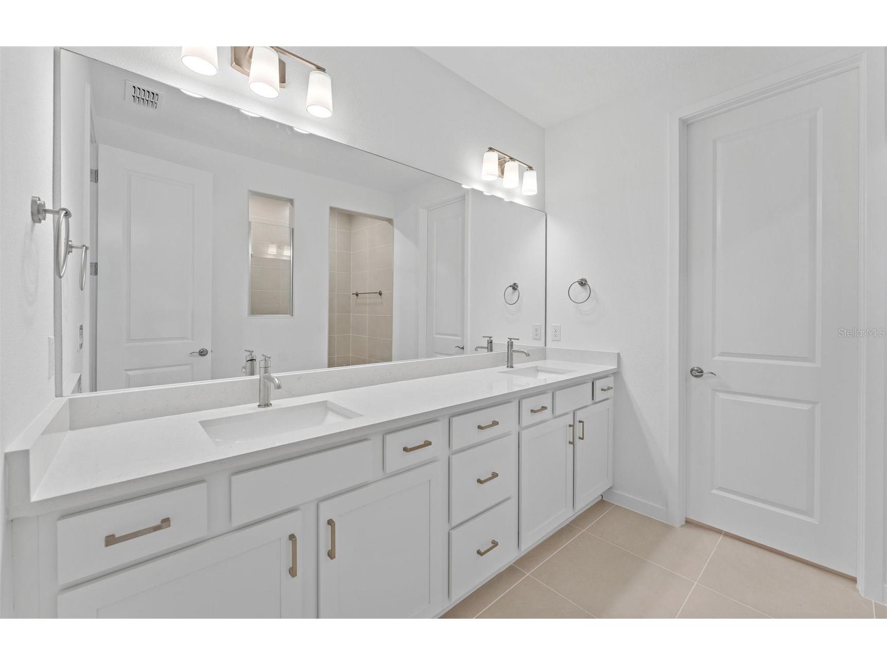 33479 Barnebrook Drive Wesley Chapel FL 33545 TB8421840 image15