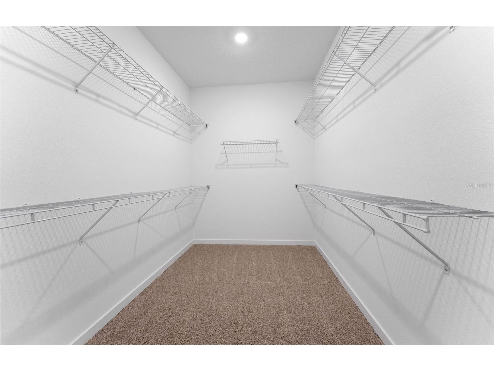 33479 Barnebrook Drive Wesley Chapel FL 33545 TB8421840 image16