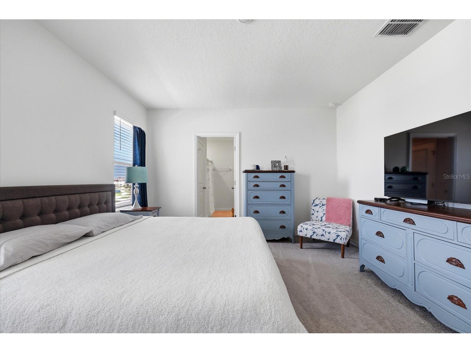 33479 Elm Hill Branch Wesley Chapel FL 33545 TB8494198 image21