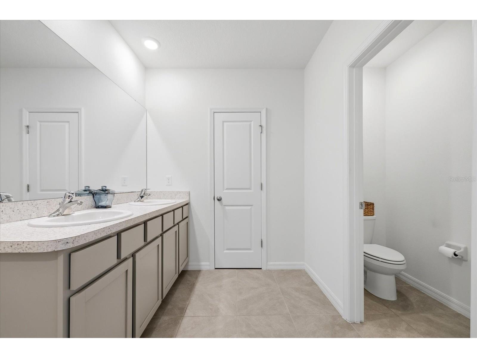 33479 Elm Hill Branch Wesley Chapel FL 33545 TB8494198 image24