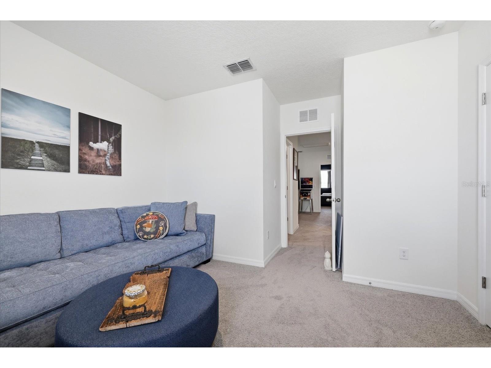 33479 Elm Hill Branch Wesley Chapel FL 33545 TB8494198 image28